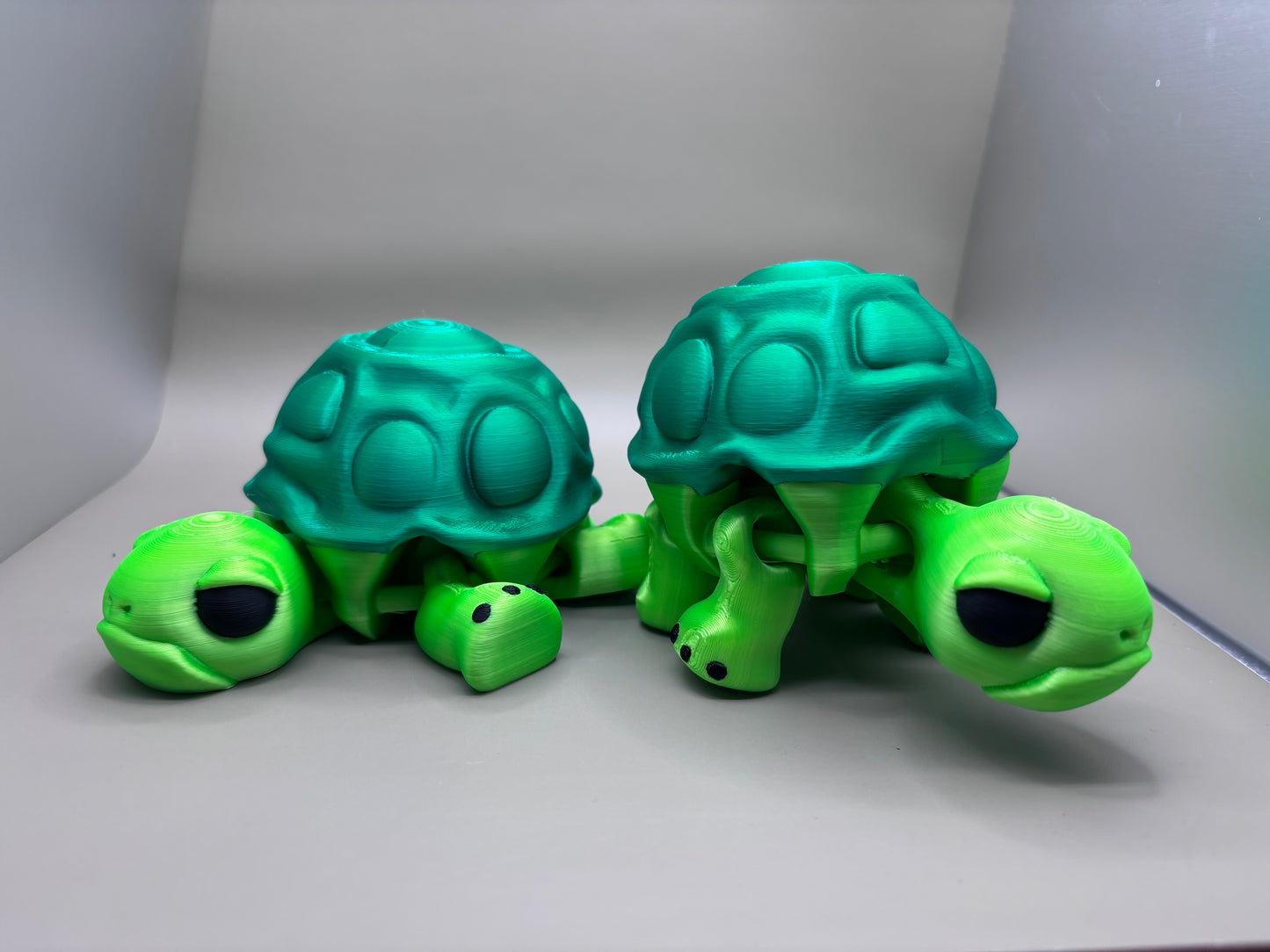 Large Grumpy Turtle