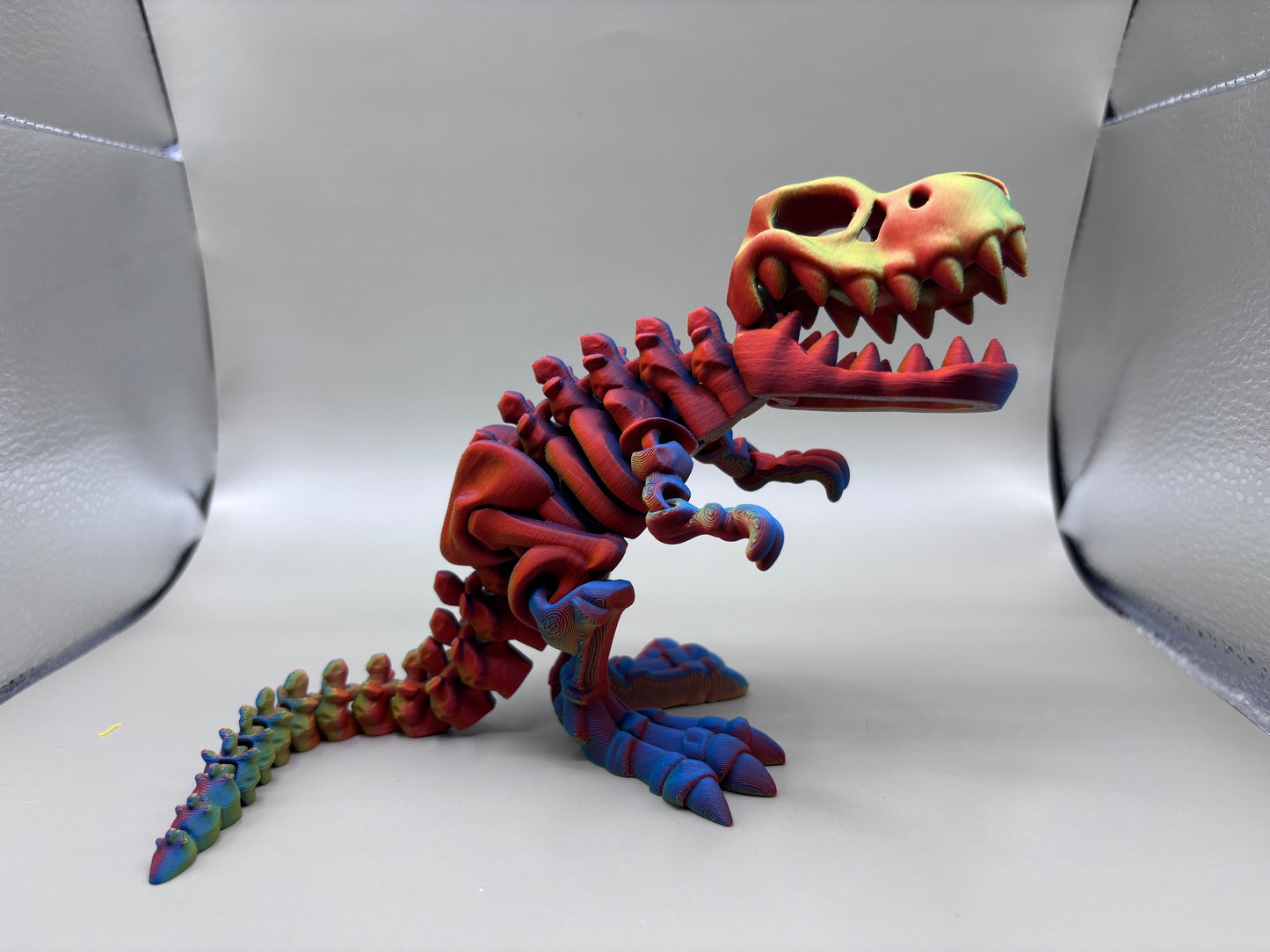 Flexi Skeli Rex- Mystery Color