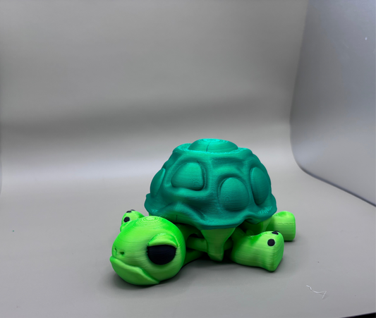 Large Grumpy Turtle
